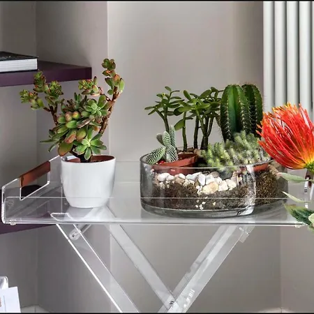 Moma Appartamento Roma